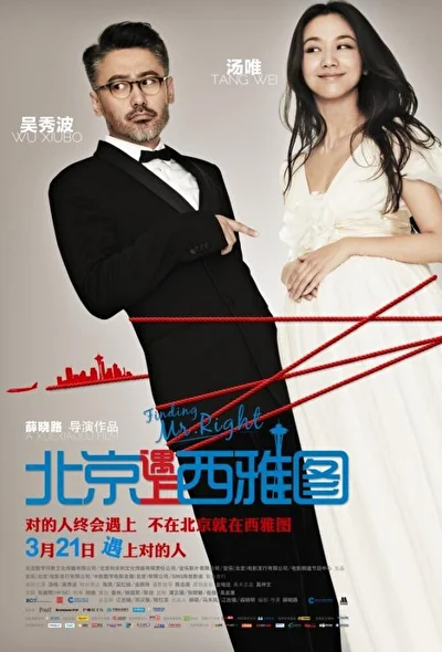 Постер к фильму В поисках мистера Совершенство (2013)
