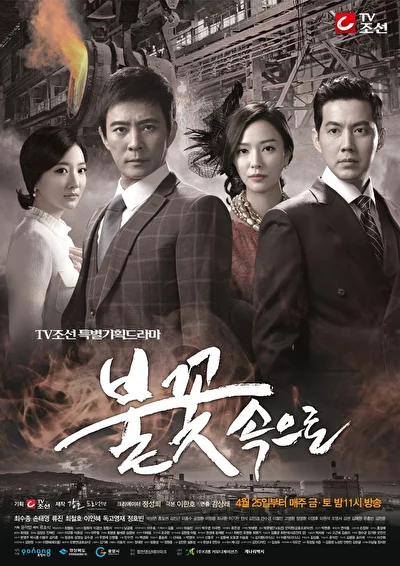 Постер к В пламени (2011)